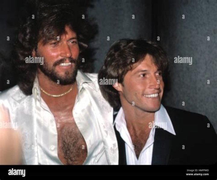 Andy Gibb