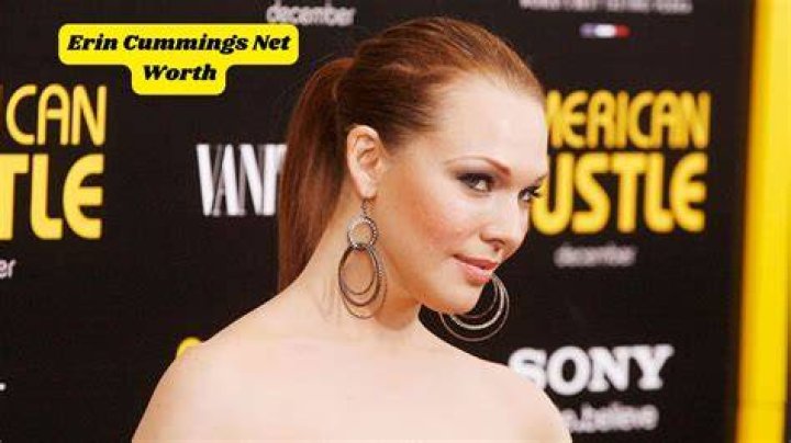 Erin Cummings Net Worth
