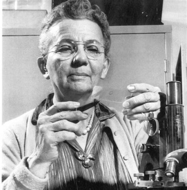 Florence B. Seibert Florence B. Seibert