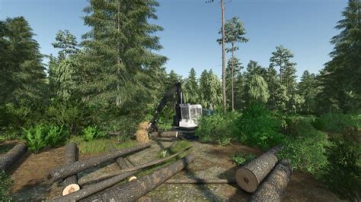 Foresty Forest Youtuber overview