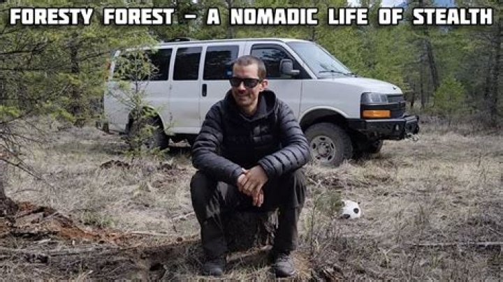 Foresty Forest