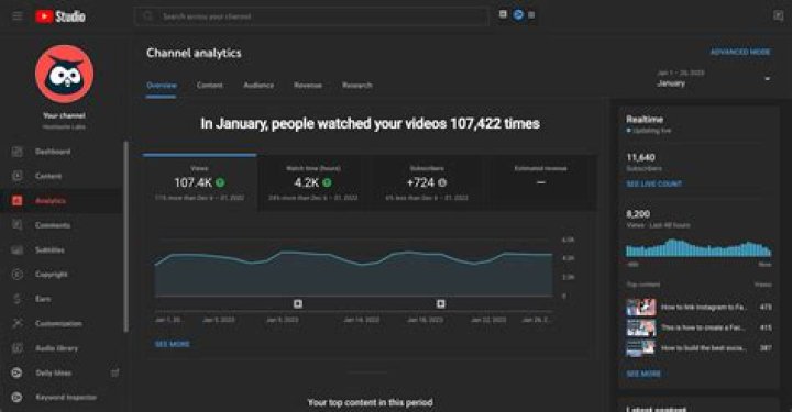 Furdis Youtuber overview