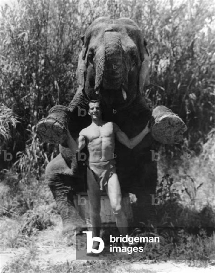 Herman Brix