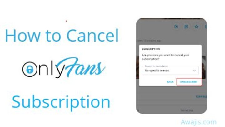 How to cancel Onlyfans Subscription 2023? Problem Fixed