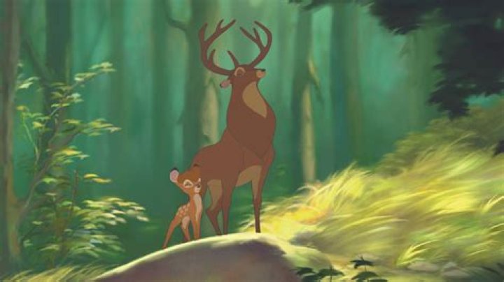 Why does Bambi have a girls name?
